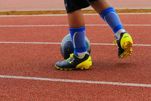 Leyu Sport登录入口-未来潜力：年轻球员的崛起路径，年轻球员是中国足球未来发展的基础