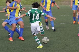 leyu乐鱼-女篮亚洲杯中国队力压日本夺冠,亚洲杯女子篮球赛中国对日本