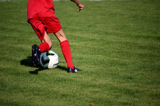 leyu乐鱼体育综合-中国足球青训体系引进国际先进训练理念，中国足球青训体系是什么