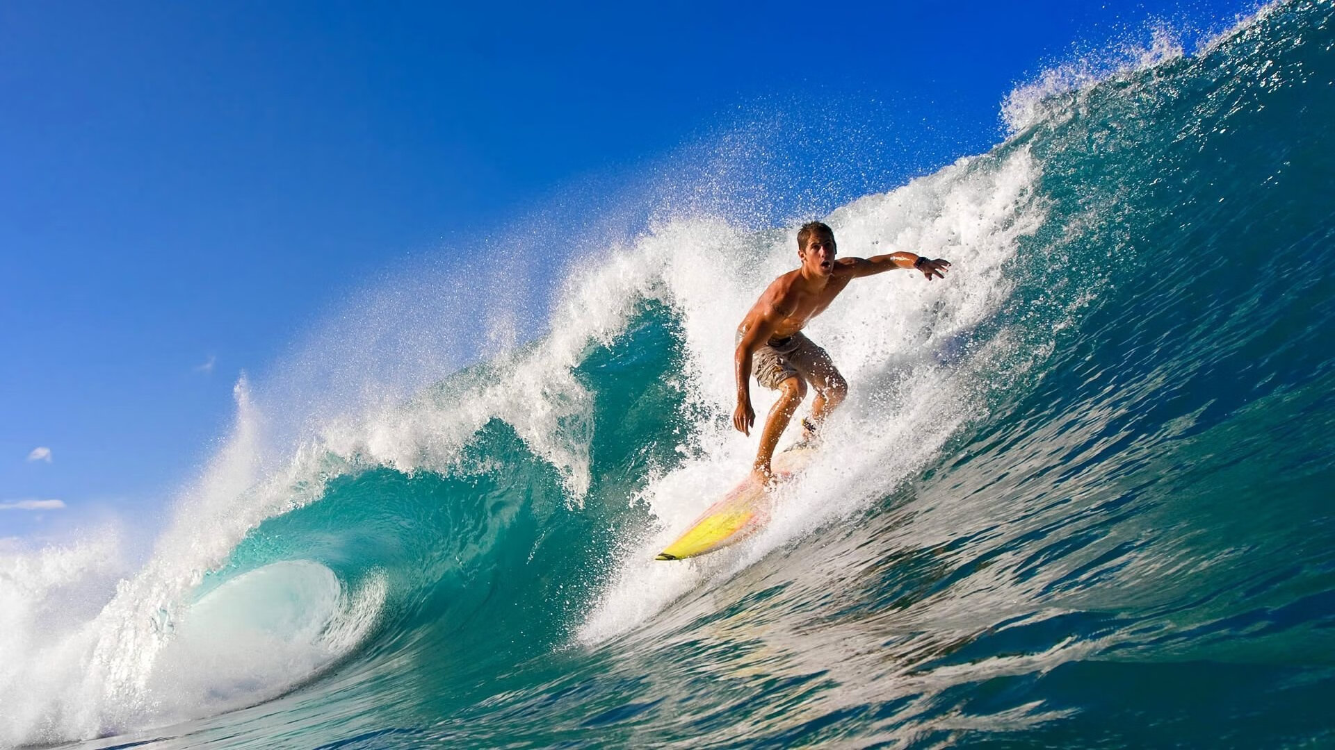 LEYU SPORTS中国官方网站-艾比·德尔福:防守中的“扫雷者”,清除所有对方威胁